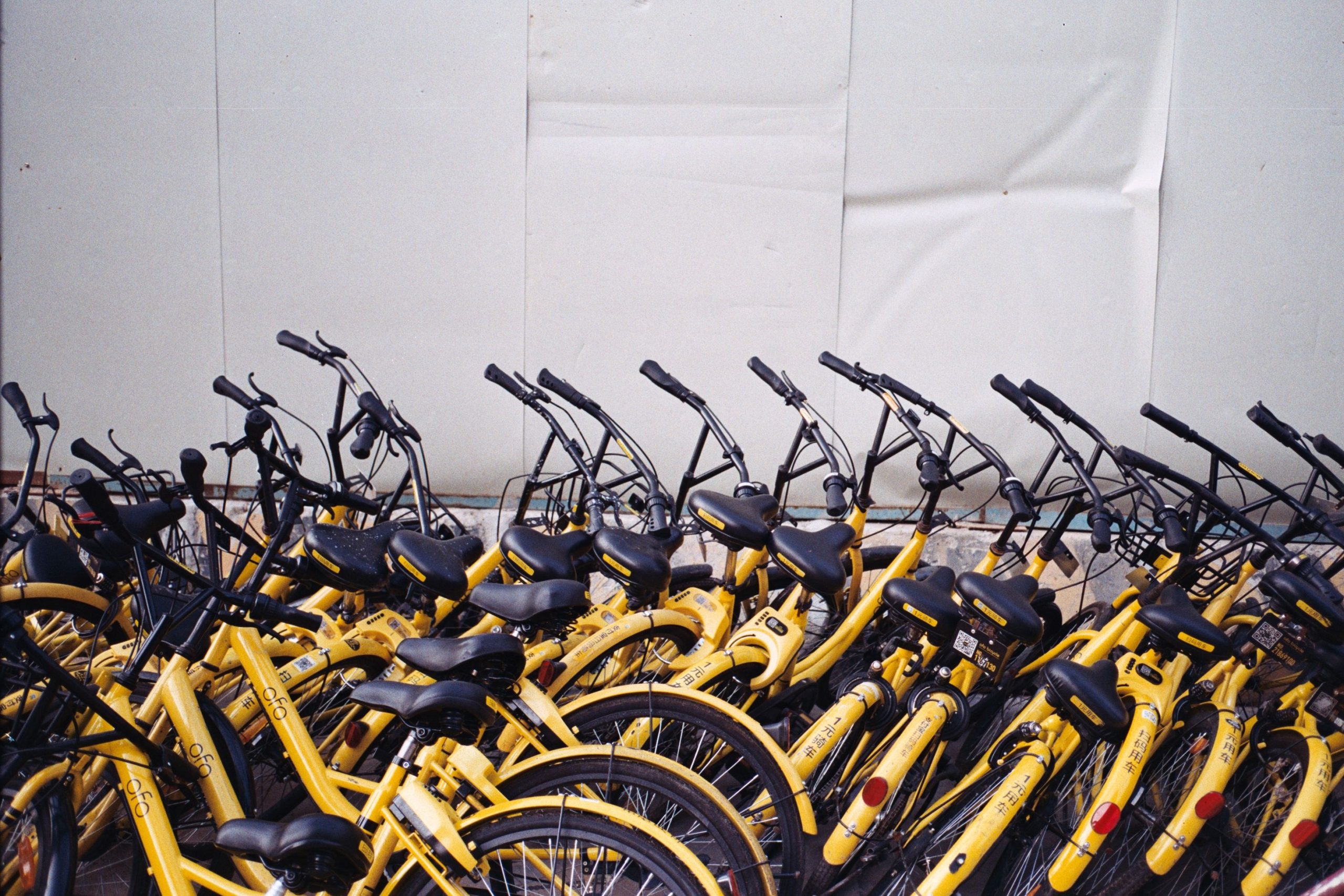 pexels shawn 44400728 7483081